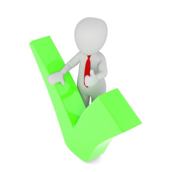 K800_Seminar Erwachsene man standing behind the check mark (2)